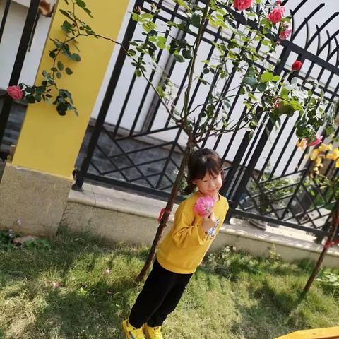 大家好！我是黄继光红军小学一年级六班的段沐言。今天和大家分享的是“快乐王子”！