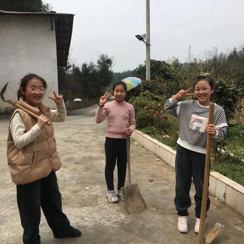 阳春三月，东风送暖，在这万物生长的季节，植树节也如约而至。