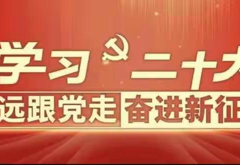 抱龙小学党支部“学习二十大精神”专题培训