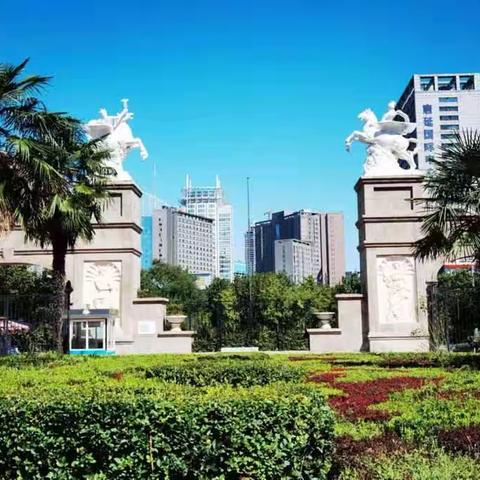 新都市项目2023年12月工作美篇