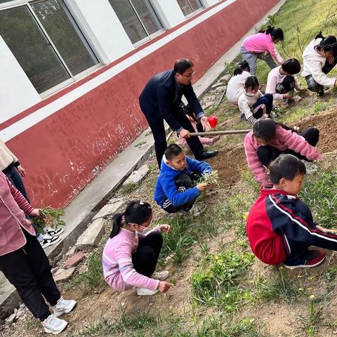 全环境立德树人|宝山小学劳动教育课———我是小小种植员