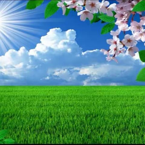 “语”春相约           “研”途花开