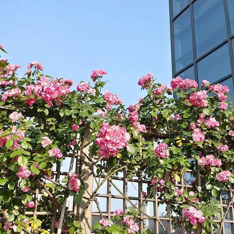 水港物业服务中心4月简报