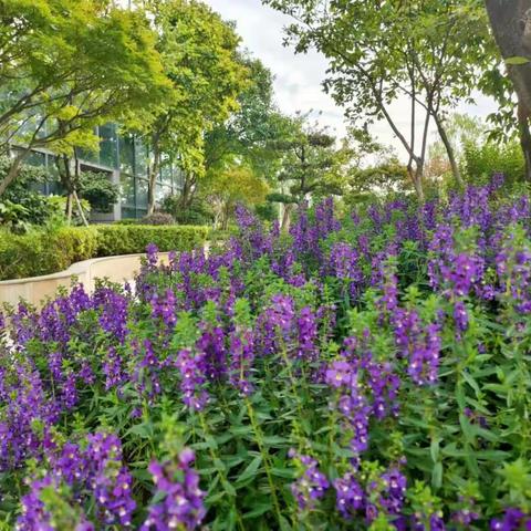 水港物业服务中心6月简报
