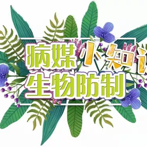 【卫生保健】远离病媒侵害 你我共享健康——西安市骊山桃苑幼儿园病媒生物知识宣传