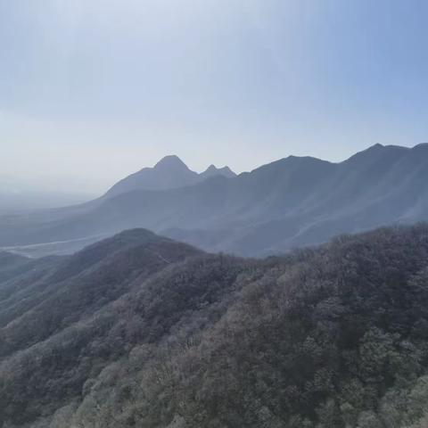 写给儿子祺珺的一封信