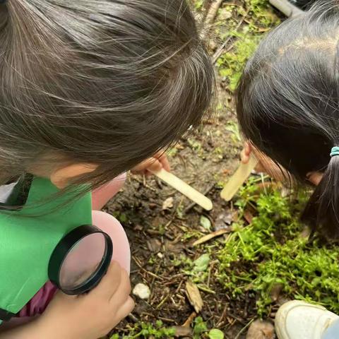 “泥”好相遇－弘文幼儿园大四班森林课程