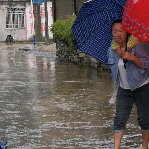 雨水冲刷显德优