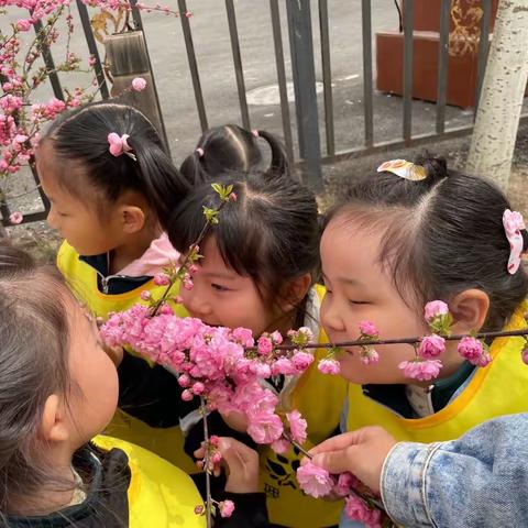 “春日拾趣🏕”理德斯幼儿园朝阳之家自然教育活动