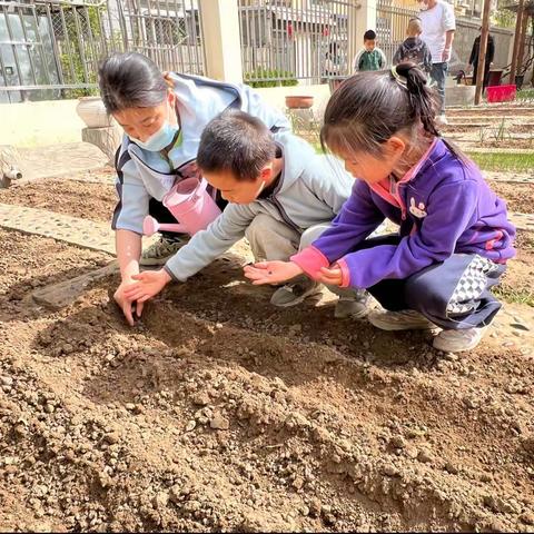 🌻“用心来陪伴，用爱助成长”🌻                       中三班4月主题活动分享