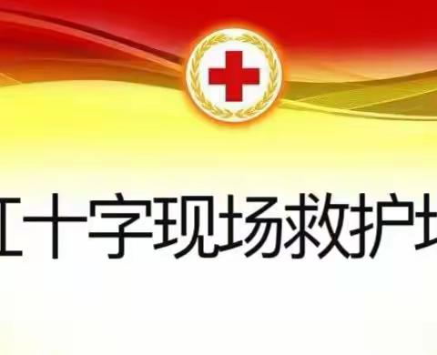 提升救护技能 守护群众健康——三明市红十字开展应急救护师资培训