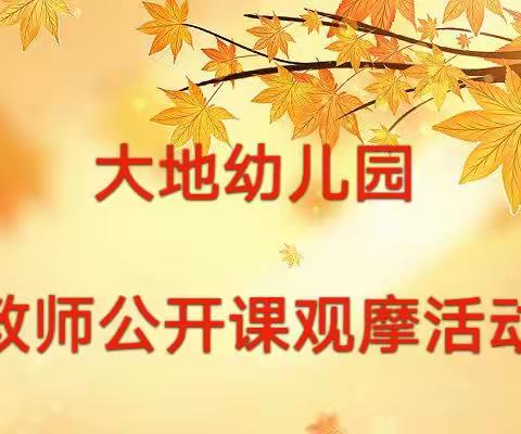 “展现教学新风采 观摩交流促成长”——汝州市大地幼儿园教师公开课观摩活动