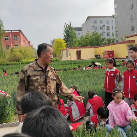 “劳”有所为 “动”有所乐——蠡县第二实验小学三年级劳动实践活动