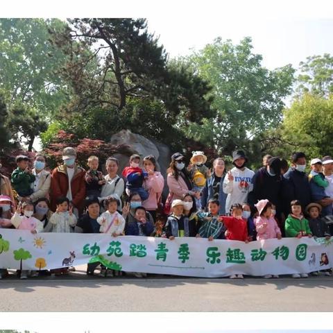 《幼苑踏青季，乐趣动物园》金山桥校区游园剪影