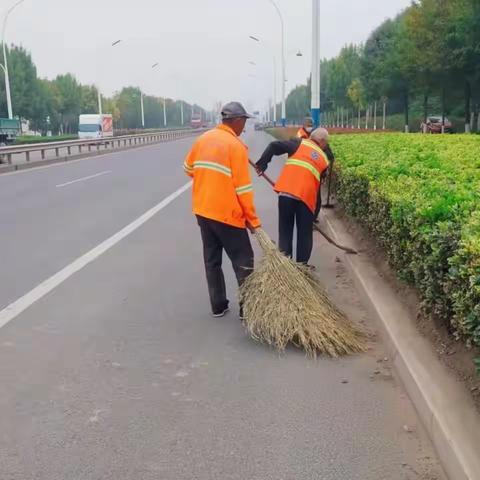 山东申花整治路域环境，提高路貌“颜值”