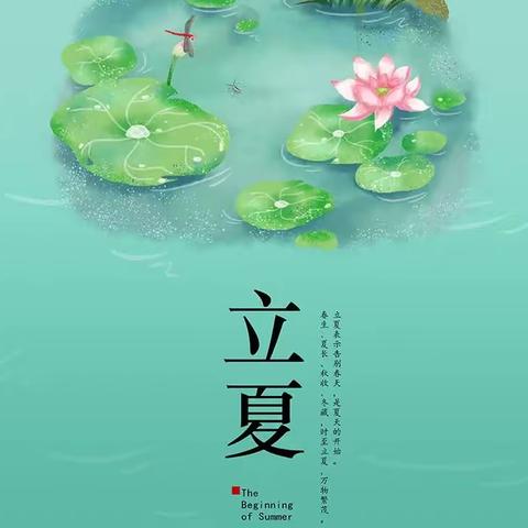 却是石榴知立夏 年年此日一花开——天护小学“小种子说节气”专题系列七