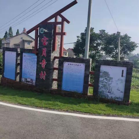 宜居宝月，环境你我先行