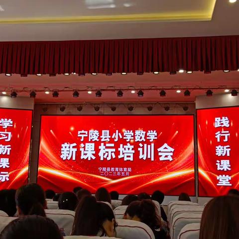 学习新课标，赋能新未来——宁陵县全校小学数学新课标培训会