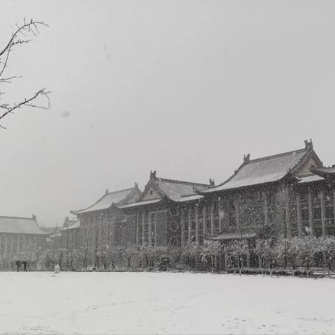 唯美河大 邂逅春雪