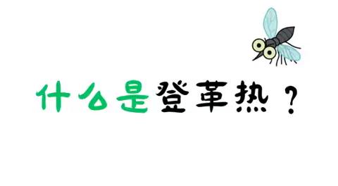 【预防登革热，你我共防范】——沙溪镇前一小学登革热防控知识宣传