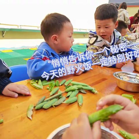 “春日野火饭，童心乐悠悠”——桐星幼儿园小班组野火饭