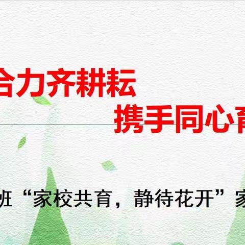 家校共育 静待花开——高二19班家长座谈会