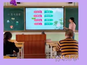 夯实基本功 展示教师风采——记良垌镇蒲苏片区小学青年教师教学基本功竞赛