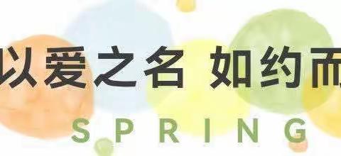 家园携手·共育花开——思源幼儿园家长委员会活动