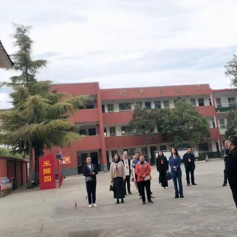 健全学校家庭社会育人机制，促进学生健康成长——中站区政协专题调研之中站小学