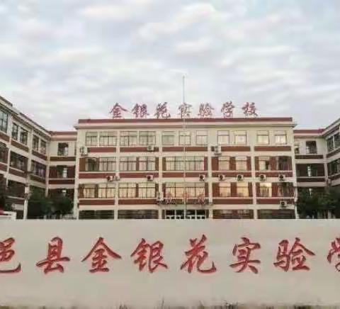 聚焦单元教学 助力教师成长