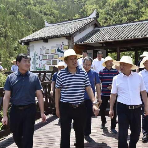 水利部长江委来我县调研水土流失防治工作