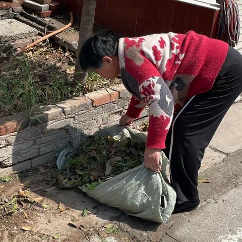 杨厂村整治人居环境干干净净迎五一