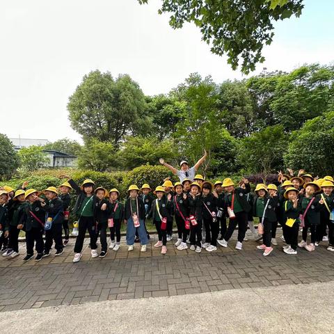 初探小学零距离 ，双向奔赴共成长