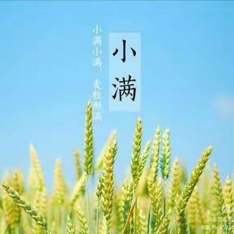 “小满小满，幸福满满”——新泰市楼德镇幸福佳园幼儿园✨星星一班✨小满主题活动