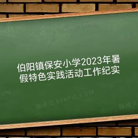 【三抓三促在行动】伯阳镇保安小学2023年暑假特色实践活动工作纪实