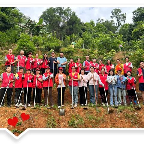 人心齐，泰山移——家校联动南药基地除草记