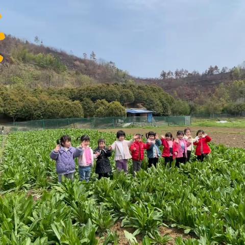 中五班四月份精彩回顾