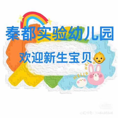 懵懵懂懂，“心”的开始。跌跌撞撞，“爱”的遇见——秦都实验幼儿园新生报名剪影