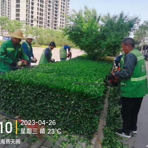 城投集团—韩城市城市运营服务有限公司周工作动态