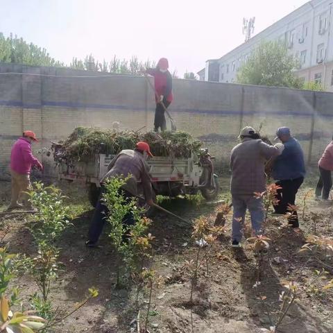 城关镇：【聚力农村人居环境整治提升】城关镇齐心协力改善农村人居环境