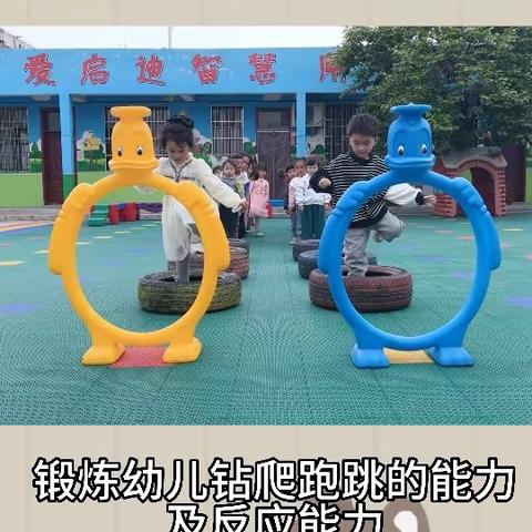 满天星幼儿园快乐的一周