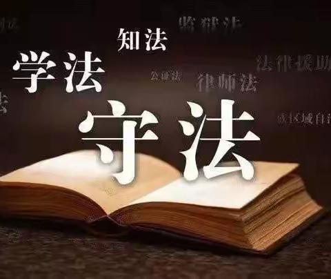 与法同行，伴我成长——九章路小学开展法律知识讲座活动掠影（副本）