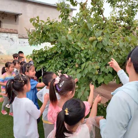 记录📝幼儿园美好时光🌹🌈——大王庄镇中心幼儿园大二班美篇🌼