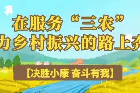 【整村授信】第二期  黄台岗信用社   “三夏助农”掀热情，打造口碑提质效