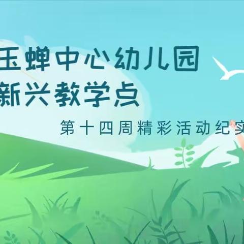 西安市鄠邑区玉蝉中心幼儿园新兴教学点第十四周精彩活动纪实