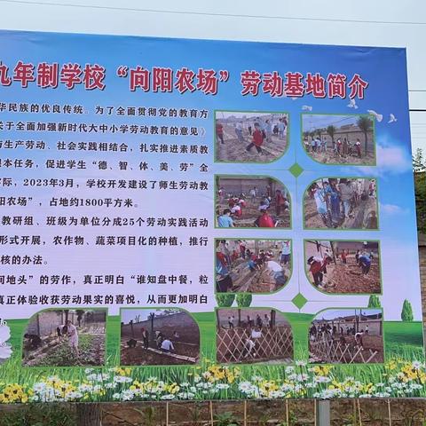 多彩校园多彩生活——西阳镇九年制学校“向阳农场的故事”