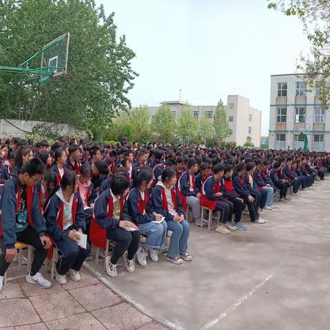 期中表彰树榜样 砥砺少年勇追梦