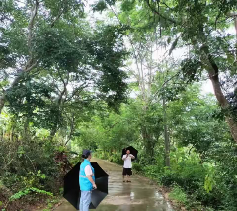 雨天巡查不松懈 隐患排查守安全