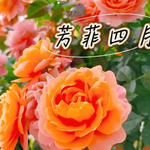 福安市彩虹花幼儿园中一班——芳菲四月，快乐相伴