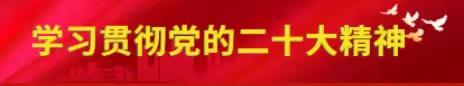 安全记心间，平安伴我行  ——酒泉市康盛小学开展防溺水和道路交通安全主题队会教育活动